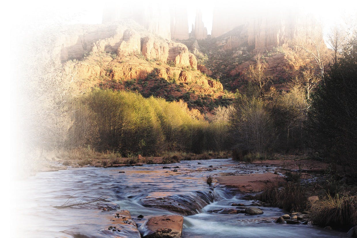 Valley of Fire and Zion Park 1 Day Tour - Photo 1 of 7